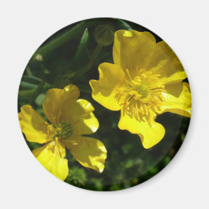 Hahnenfußblumen Magnet