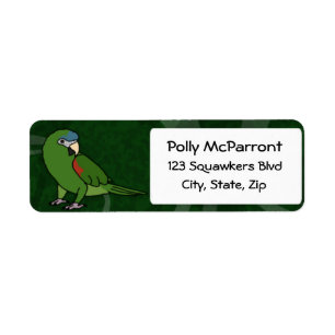 Hahns Macaw