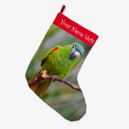 Hahns Mini-Macaw/Rot-Schulter-Ara Großer Weihnachtsstrumpf