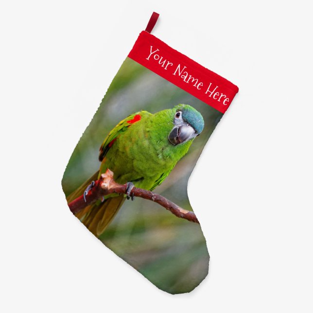 Hahns Mini-Macaw/Rot-Schulter-Ara Großer Weihnachtsstrumpf (Vorderansicht (hängend))