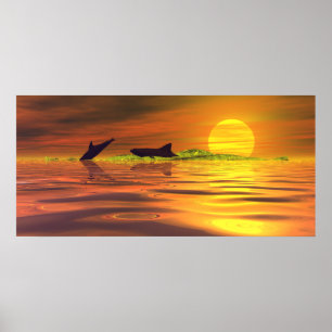 Hai Delfin Das Spiel des Lebens Poster