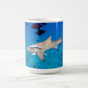 Hai Kaffeetasse