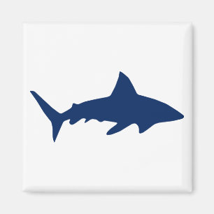 Hai Magnet