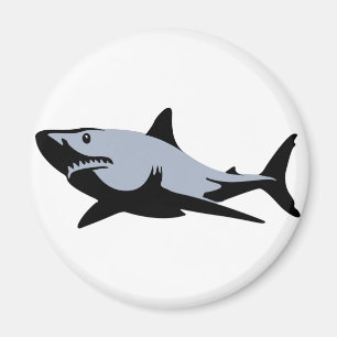 Hai Magnet
