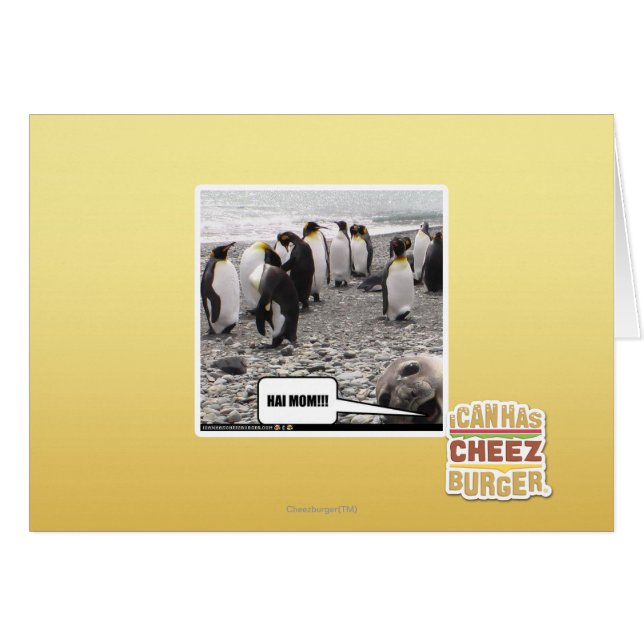 HAI MAMA!!! (Vorderseite (Horizontal))