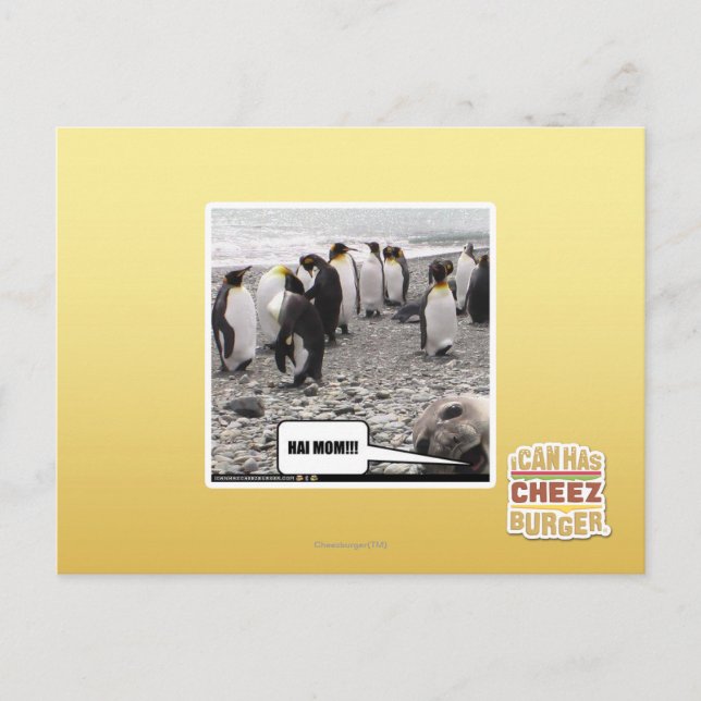 HAI MAMA!!! POSTKARTE (Vorderseite)