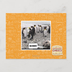 HAI MAMA!!! POSTKARTE