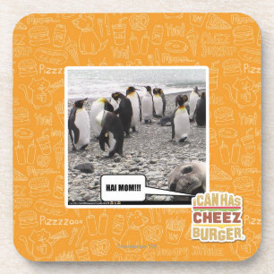 HAI MAMA!!! UNTERSETZER