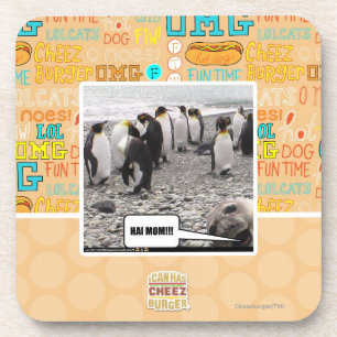 HAI MAMA!!! UNTERSETZER