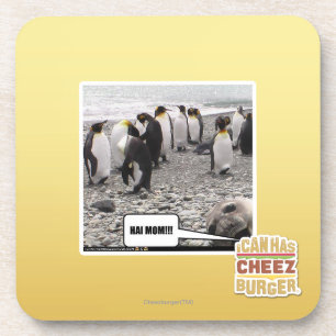 HAI MAMA!!! UNTERSETZER