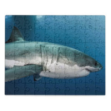 Hai-Puzzle