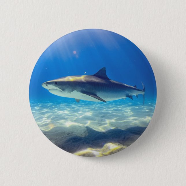 Hai schwimmen Blaues Meer Button (Vorderseite)