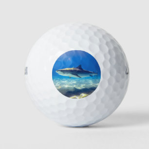 Hai schwimmen Blaues Meer Golfball