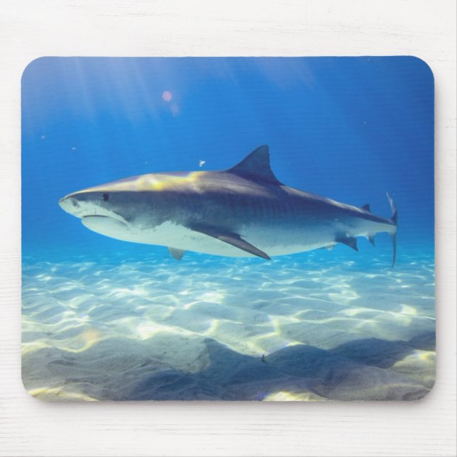 Hai schwimmen Blaues Meer Mousepad (Vorne)
