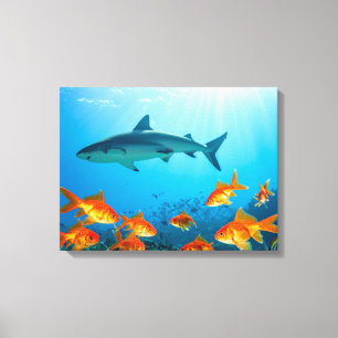 Hai unter Goldfischen Leinwanddruck