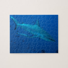 Hai Unterwasserfotografie Jigsaw Puzzle