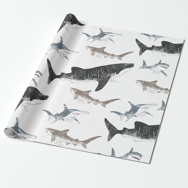 Hai-Wrapping-Papier Geschenkpapier (Ungerollt)