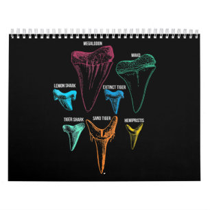 Hai-Zahnfleisch-Jagd - Krabbelschnaps Kalender