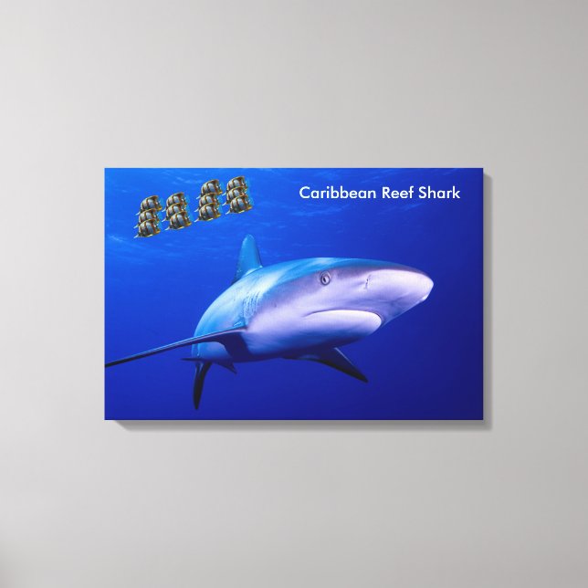 Haibild für verpackte Leinwand (Vorderseite)