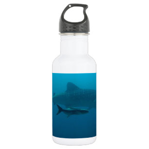Haie Fische Ozean Wasser Tropisch Strand Frieden L Trinkflasche