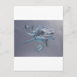 Haie in der Bucht Postkarte
