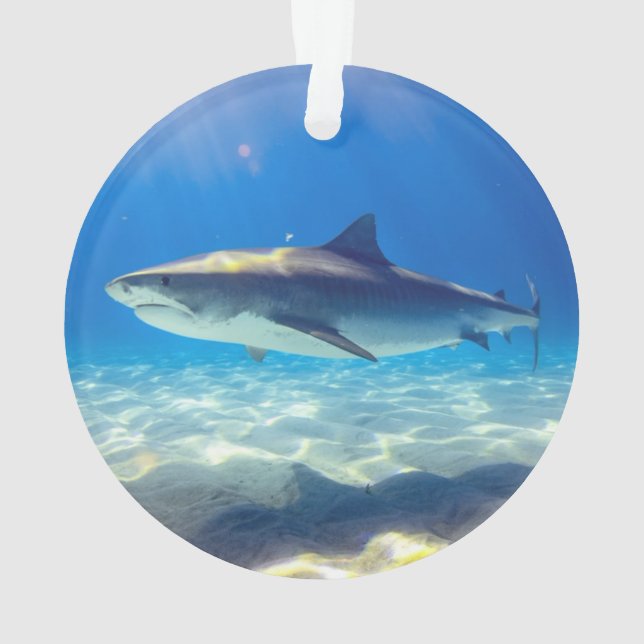 Haie Schwimmen Blauer Ozean Wasser Ornament (Rückseite)