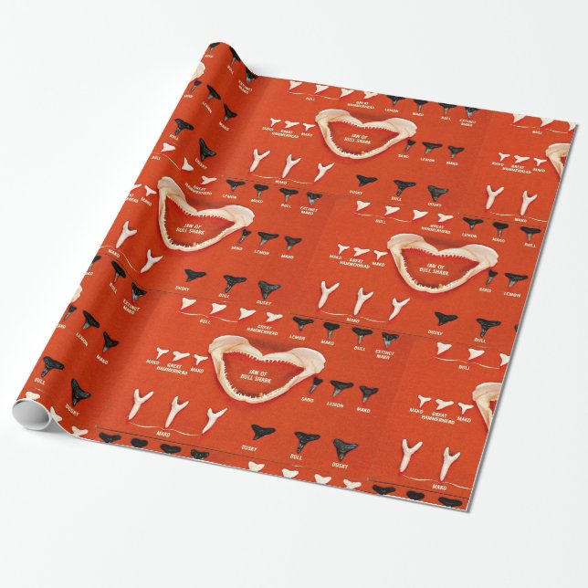 Haie von Florida Geschenkpapier (Ungerollt)