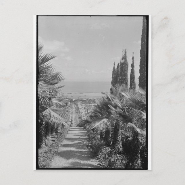 Haifa - vom Mt. Carmel, 1920er Postkarte (Vorderseite)