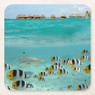 Haifisch, der Fische im Bora Bora SeeUntersetzer Rechteckiger Pappuntersetzer