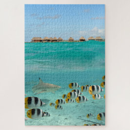 Haifisch, der Fische in tropischer Bora Bora