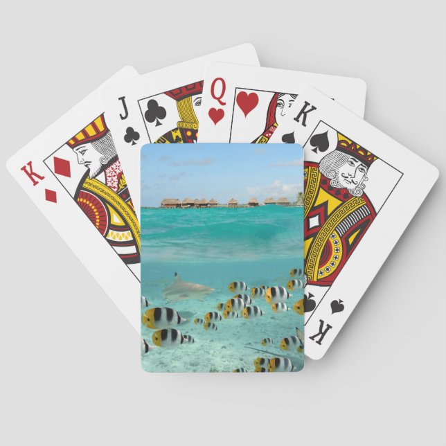 Haifisch, der Spielkarteplattform der Fische jagt Spielkarten (Rückseite)