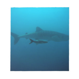 Haifisch-Fisch-Ozean-Wasser-tropische Notizblock