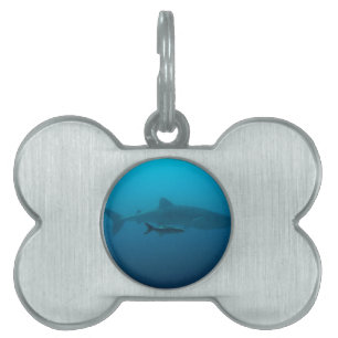 Haifisch-Fisch-Ozean-Wasser-tropische Tiermarke