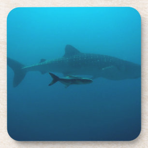 Haifisch-Fisch-Ozean-Wasser-tropische Untersetzer