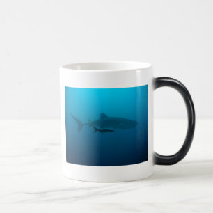 Haifisch-Fisch-Ozean-Wasser-tropische Verwandlungstasse