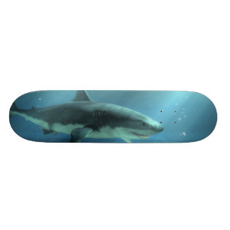 Haifisch Skateboard