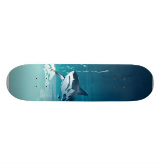 Haifisch Skateboard