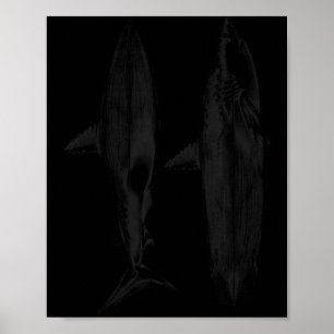 Haifisch-Surfbrettflossendesign cooler Surfer Ozea Poster