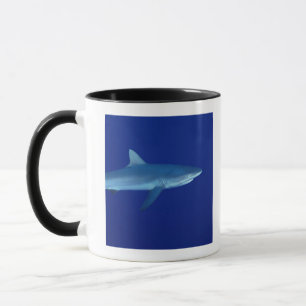Haifisch Tasse