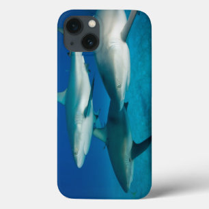 Haifisch-Trio iPad Fall Case-Mate iPhone Hülle