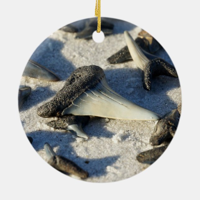 Haifisch-Zahn-Kreis-Verzierung Keramik Ornament (Hinten)