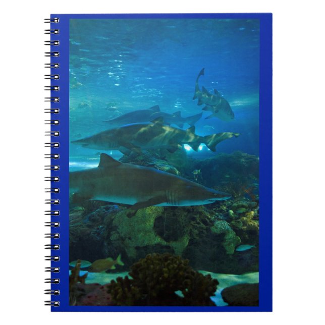 Haifischbehälteraquarium-Fischnotizbuch Notizblock (Vorderseite)