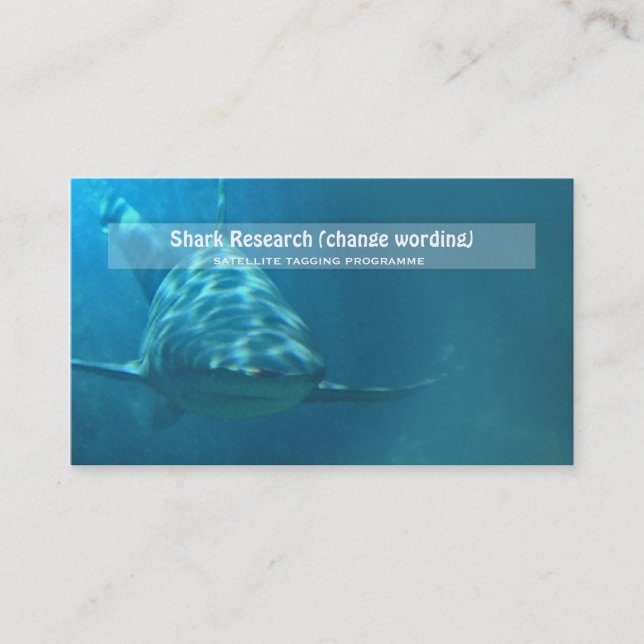 Haifischbiologie-Marineforschung Visitenkarte (Vorderseite)