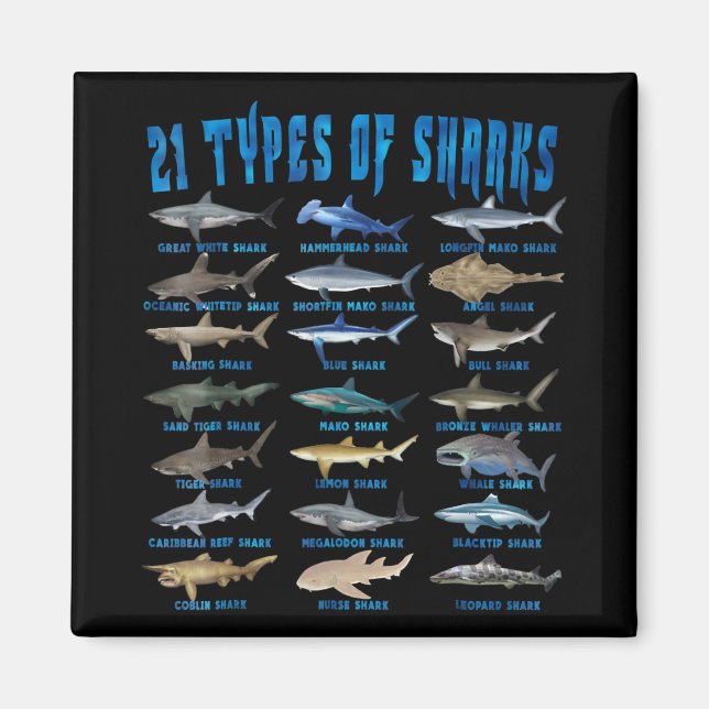 Haifische 21 Arten von Haien Magnet (Vorne)