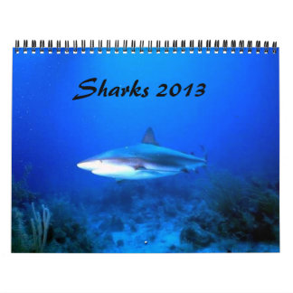 Haifische tragen 2013 ein kalender