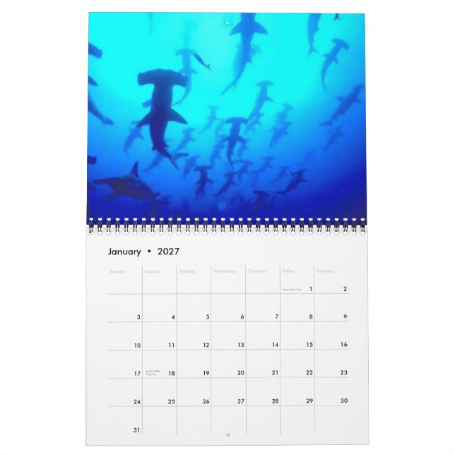 Haifische tragen 2015 ein kalender (Jan 2027)
