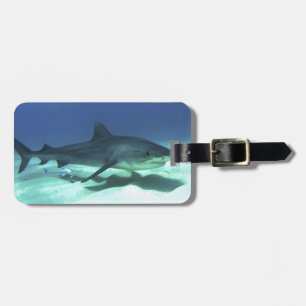 Haifischfische Tropischer Ozean Schicksal Geschenk Gepäckanhänger