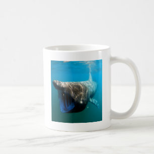 Haifischfische Tropischer Ozean Schicksal Geschenk Kaffeetasse