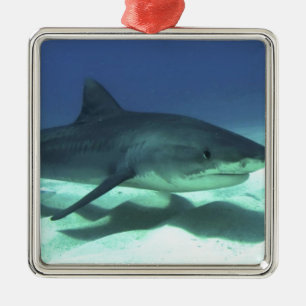 Haifischfische Tropischer Ozean Schicksal Geschenk Silbernes Ornament