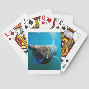 Haifischfische Tropischer Ozean Schicksal Geschenk Spielkarten